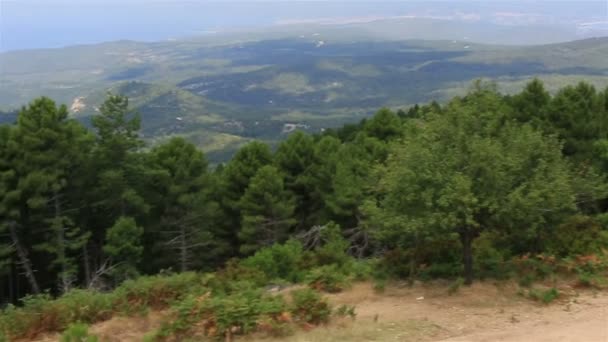 Hermoso panorama de pinos en la cima de la montaña . — Vídeos de Stock