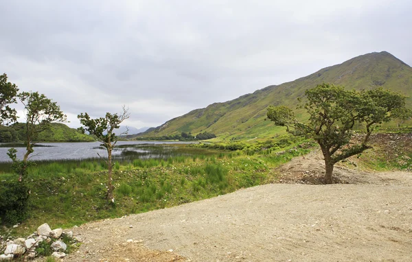 Parco nazionale del Connemara . — Foto Stock
