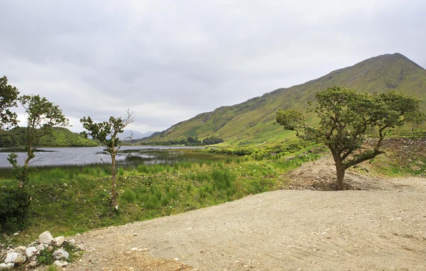 Parc national Connemara . — Photo