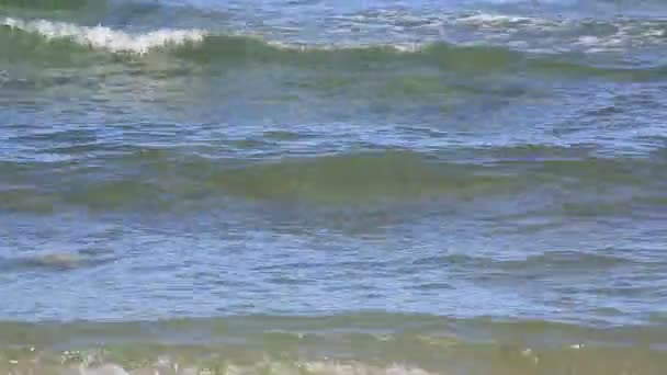 Волны на побережье Эгейского моря . — стоковое видео
