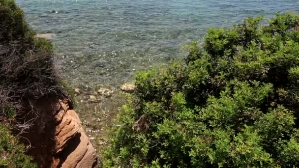 Aegean Sea washes the coast. — Stock Video