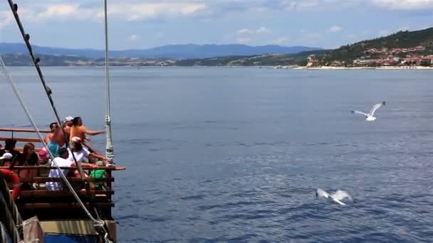 Toeristen uit het schip gevoed zeemeeuw. — Stockvideo