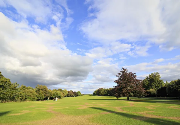 Belo parque em território de Castelo de Kilkenny — Fotografia de Stock