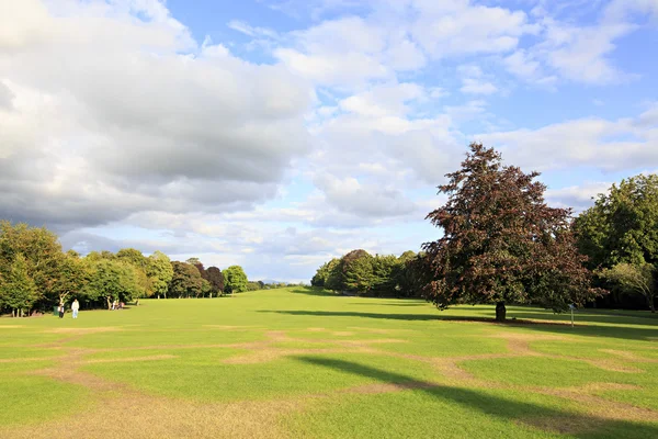 Prachtig park op grondgebied van Kilkenny kasteel — Stockfoto