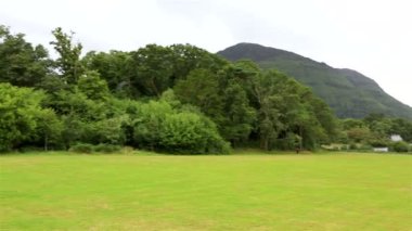 Muckross Gölü önünde yeşil çim.