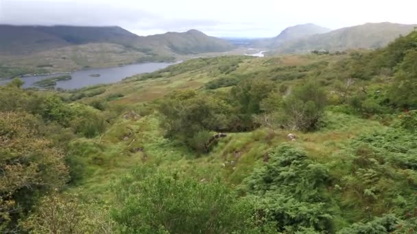 Krásná krajina Ladies View v Killarney National Park. — Stock video