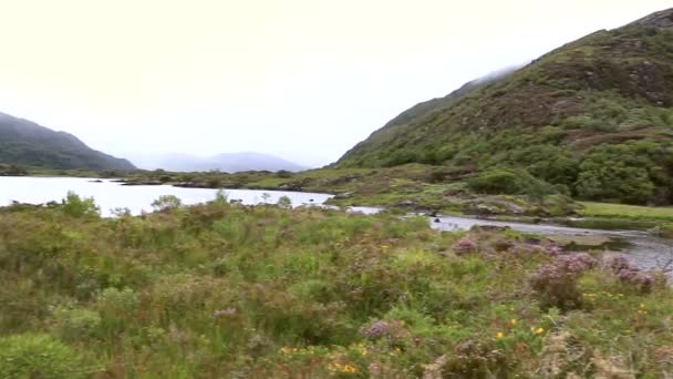 Schöner oberer See im Killarney Nationalpark. — Stockvideo