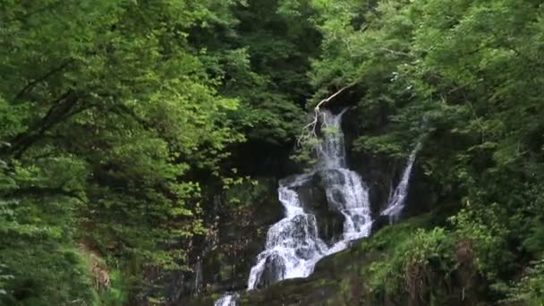 Torc Waterfall in Killarney National Park. — Stock Video