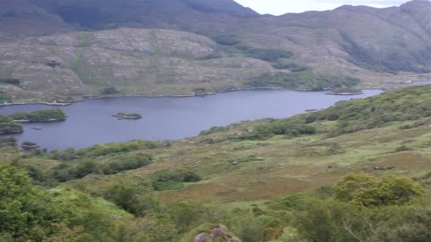 Bellissimo paesaggio di Ladies View nel Killarney National Park . — Video Stock