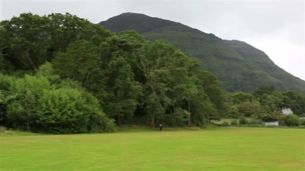 Grüner Rasen vor dem Muckross-See. — Stockvideo