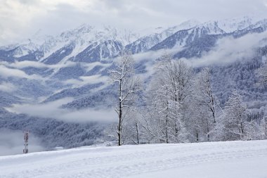 Kafkas Dağları güzel karla kaplı dorukları.