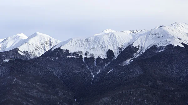 Hermosos picos nevados de las montañas del Cáucaso . —  Fotos de Stock