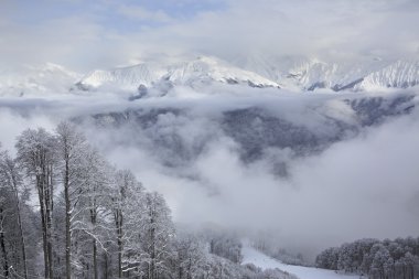 Kafkas Dağları güzel karla kaplı dorukları.