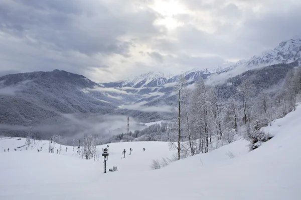 Estación de esquí Rosa Khutor Alpine — Foto de Stock