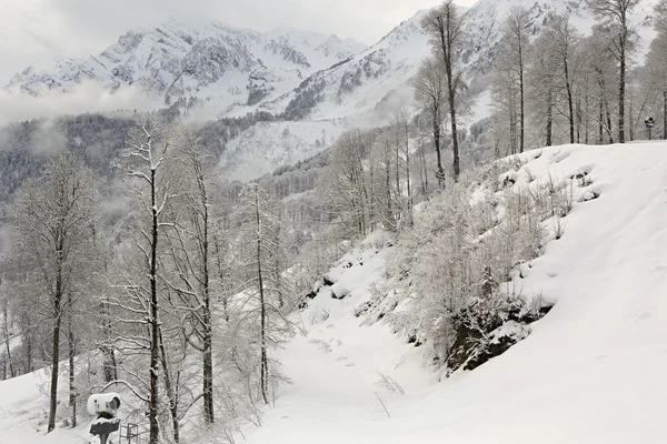 Belle montagne innevate del Caucaso . — Foto Stock