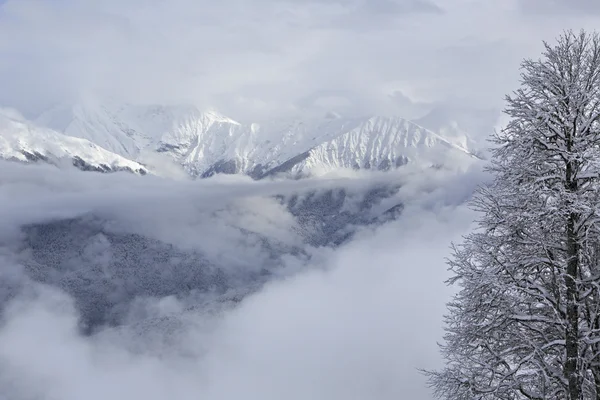 Prachtige besneeuwde bergen van de Kaukasus. — Stockfoto