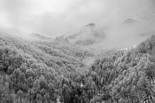 Hauts de montagnes enneigées dans les nuages . — Photo