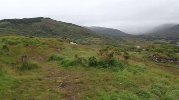Wunderschöne Landschaft mit Blick auf die Damen im Killarney Nationalpark. — Stockvideo