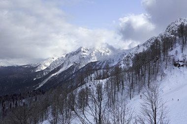 Rosa Khutor Alp Kayak Merkezi