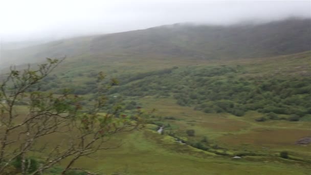 Dağlar ve Yeşil Vadi Panorama. — Stok video