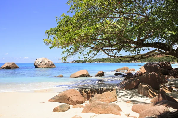 Belas pedras de granito no Oceano Índico na praia de Anse Lazio . — Fotografia de Stock