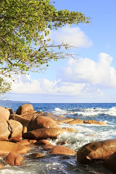 Prachtige strand van anse lazio. — Stockfoto