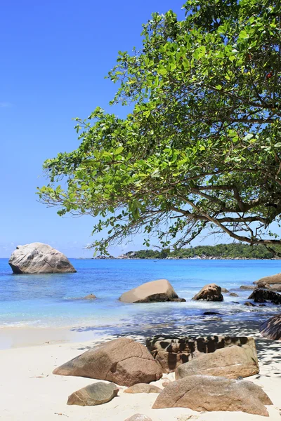 Hermosa playa Anse Lazio . — Foto de Stock