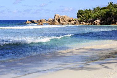 Güzel bir plaj Anse Cocos.