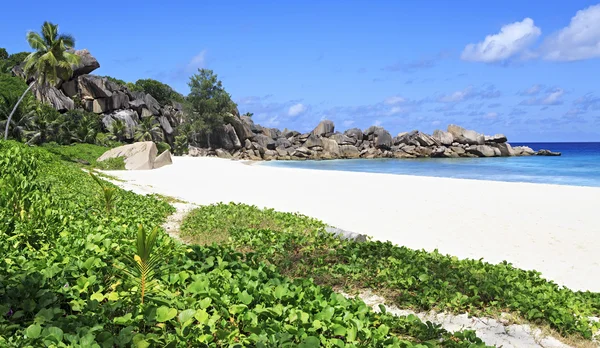 Hermosa playa Grande Anse . —  Fotos de Stock