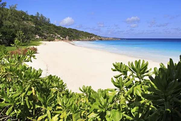 Schöner Strand anse petit. — Stockfoto