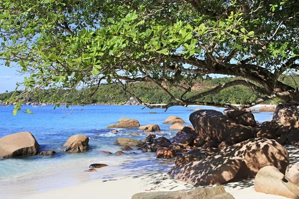 Beautiful Indian Ocean on the beach of Anse Lazio. — Stock Photo, Image