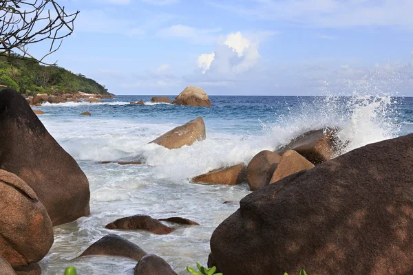 Prachtige strand van anse lazio. — Stockfoto