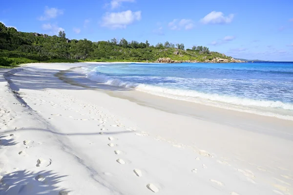 Praia bonita Anse Cocos . — Fotografia de Stock