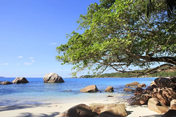 Strand van Anse Lazio. — Stockfoto