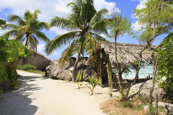 Terras voor bruiloften op het strand van Anse bron Dargent. — Stockfoto