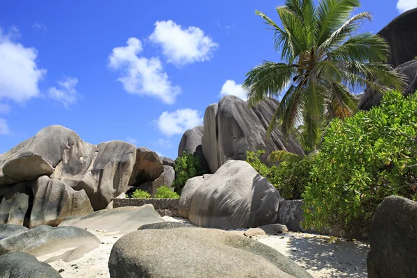 D'énormes blocs de granit sur la plage Anse Source DArgent — Photo