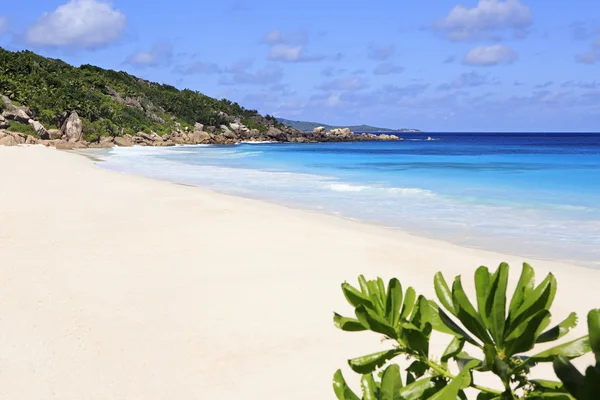 Prachtige Indische Oceaan op het strand van Anse Petit. — Stockfoto