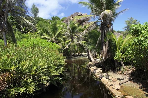 Bel étang sur la plage Grande Anse . — Photo