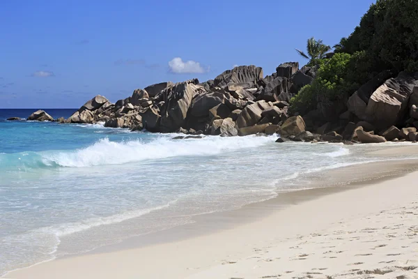 Hermosa playa Anse Petit . — Foto de Stock