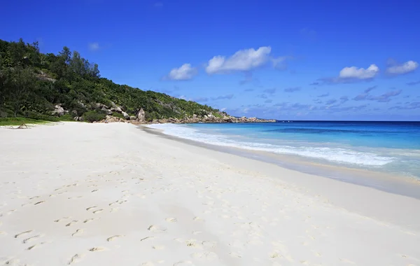 Hermosa playa Anse Petit . — Foto de Stock