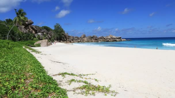 Wellen am schönen Strand grande anse. — Stockvideo