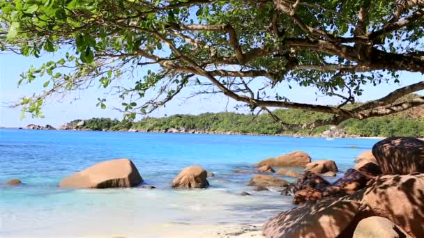 Beautiful beach Anse Lazio. — Stock Video