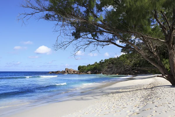 Hermosa playa Anse Cocos . — Foto de Stock