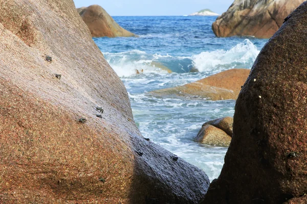 Kraby na głazy granitowe w brzegu Oceanu Indyjskiego. — Zdjęcie stockowe