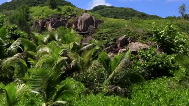 Panoráma Grande Anse Beach. — Stock videók