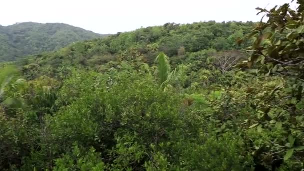 Topografi av naturreservatet Vallée de Mai — Stockvideo