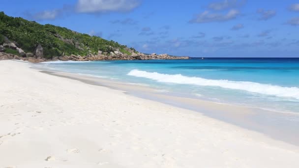 Hermosa playa Anse Petit . — Vídeos de Stock