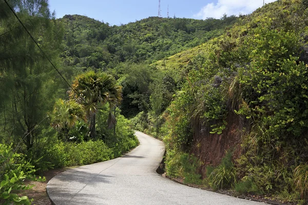 Schilderachtige weg op Mount Zimbvabve. — Stockfoto