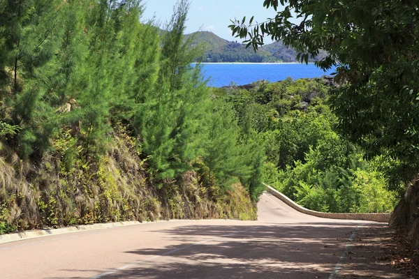 Raffles Praslin Seyşeller otel çevresinde yeni yol. — Stok fotoğraf