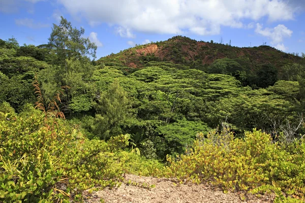 Bela vista das montanhas Zimbvabve . — Fotografia de Stock